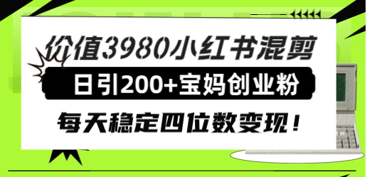 （7893期）价值3980小红书混剪日引200+宝妈创业粉，每天稳定四位数变现！(小红书引流宝妈创业粉实现每日四位数稳定变现的策略解析)