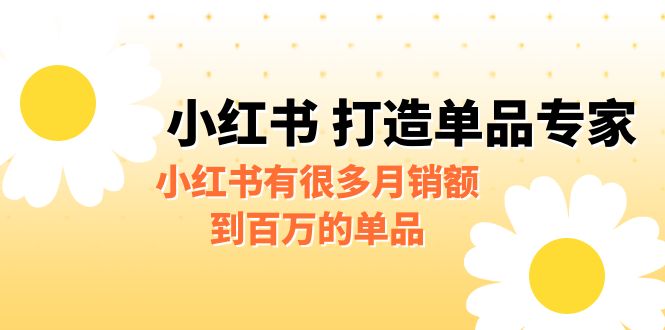 fy1014期-[小红书]某公众号付费文章《小红书 打造单品专家》小红书有很多月销额到百万的单品(小红书的百万单品策略如何快速切入并保持高利润)