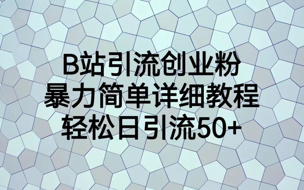 fy1059期-B站引流创业粉，暴力简单详细教程，轻松日引流50+(“B站引流创业粉从项目介绍到实操总结的全面指南”)