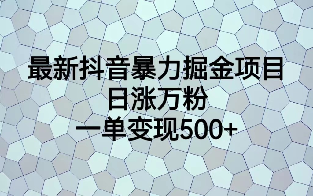 fy1091期-最新抖音暴力掘金项目，日涨万粉，一单变现500+(探索最新抖音暴力掘金项目，实现快速粉丝增长与高额变现)