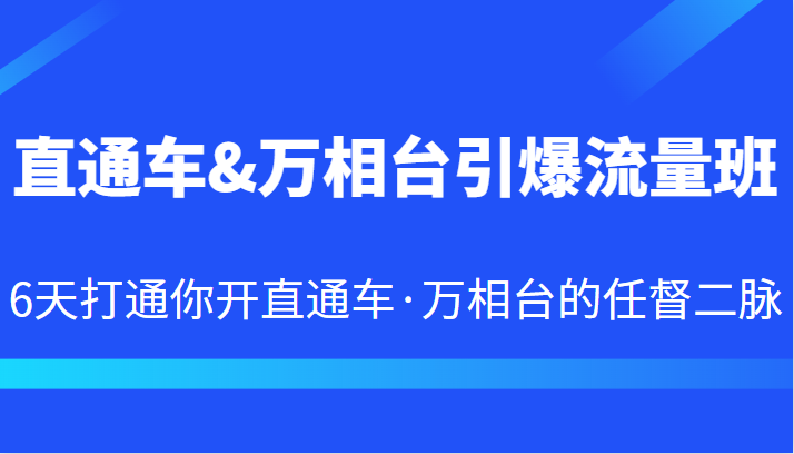 fy1159期-直通车&万相台引爆流量班 6天打通你开直通车·万相台的任督二脉(深度解析直通车&万相台引爆流量班从基础操作到高级策略一站式掌握)