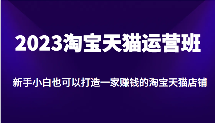 fy1174期-2023淘宝天猫运营班，新手小白也可以打造一家赚钱的淘宝天猫店铺(全面解析淘宝天猫运营技巧，助力新手小白打造赚钱店铺)