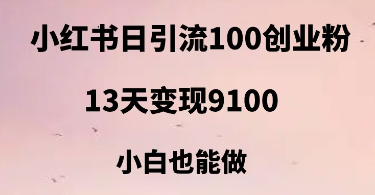 fy1279期-小红书日引流100+创业粉，13天变现9100，创业首选引流平台(小红书创业粉引流13天变现9100，小白也能做)