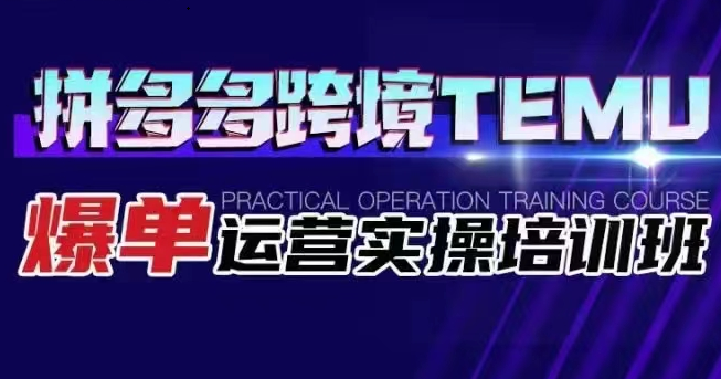 fy1313期-拼多多跨境TEMU爆单运营实操培训班 海外拼多多的选品、运营、爆单(海外拼多多TEMU运营实操培训从选品到爆单一站式学习)