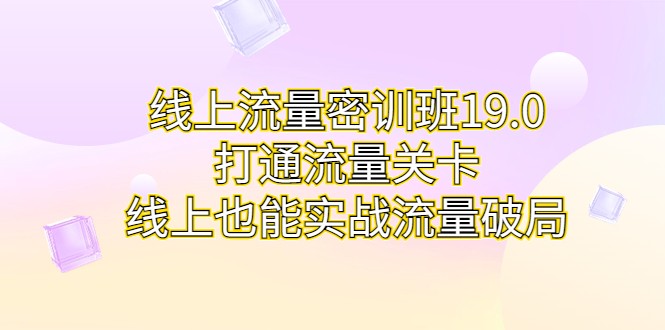 fy1335期-线上流量密训班19.0，打通流量关卡，线上也能实战流量破局(中小卖家流量破局利器线上流量密训班19.0实操技巧解析)