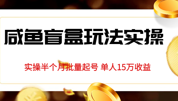 fy1340期-独家首发咸鱼盲盒玩法实操，半个月批量起号单人15万收益揭秘(揭秘咸鱼盲盒玩法半个月实现单人15万收益)