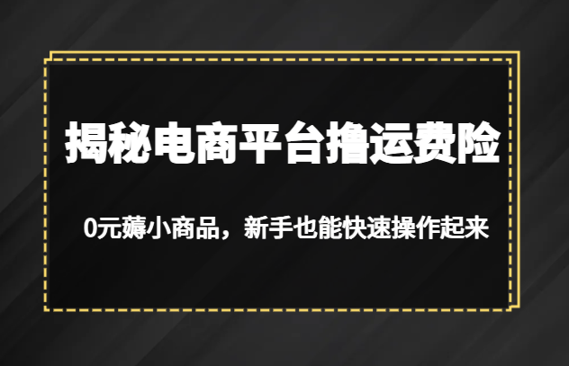 fy1359期-揭秘电商平台撸运费险，0元薅小商品，新手也能快速操作起来(“揭秘电商平台撸运费险0元薅小商品，新手也能轻松掌握”)