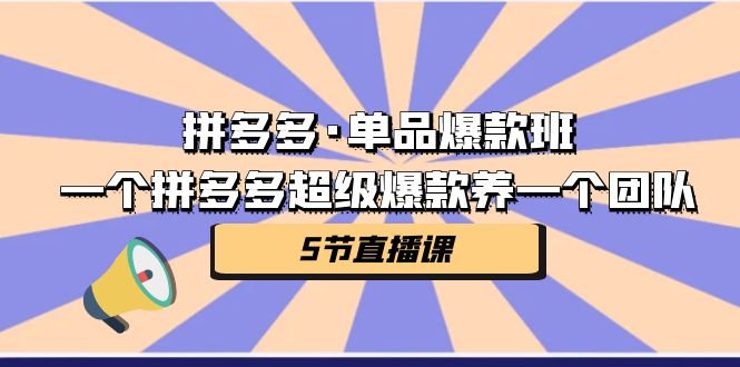 fy1394期-拼多多·单品爆款班，一个拼多多超级爆款养一个团队（5节直播课）(深入解析拼多多·单品爆款班五天课程大纲)