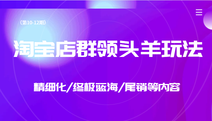 fy1490期-淘宝店群领头羊玩法，精细化/终极蓝海/尾销等内容（第10-12期）(淘宝店群运营全攻略精细化/终极蓝海/尾销玩法详解)