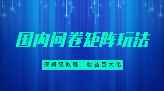 fy1526期-保姆级教程，国内问卷矩阵玩法，轻松赚收益(保姆级教程如何通过国内问卷矩阵玩法轻松赚取收益)