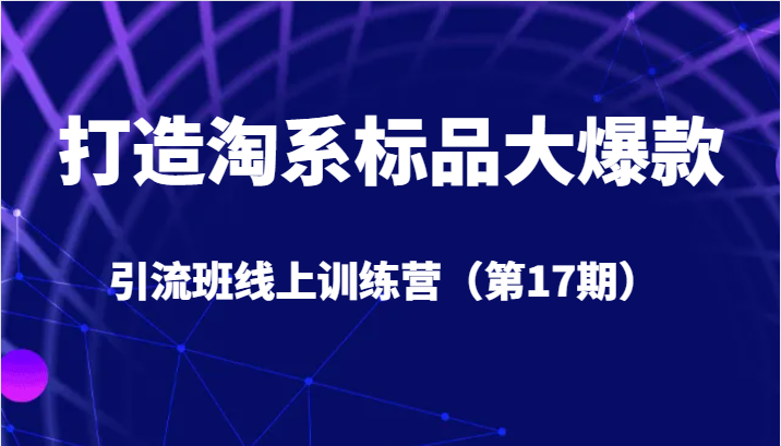 fy1561期-打造淘系标品大爆款引流班线上训练营（第17期）5天直播授课+1个月答疑(掌握视频号直播带货技巧，助力淘系标品大爆款引流)