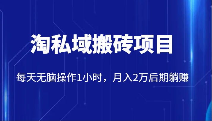 fy1688期-价值2980的淘私域搬砖项目，每天无脑操作1小时，月入2万后期躺赚(“淘私域搬砖项目简单操作，轻松赚钱”)