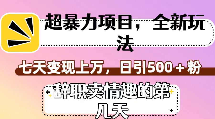 fy1768期-超暴利项目，全新玩法（辞职卖情趣的第几天），七天变现上万，日引500+粉