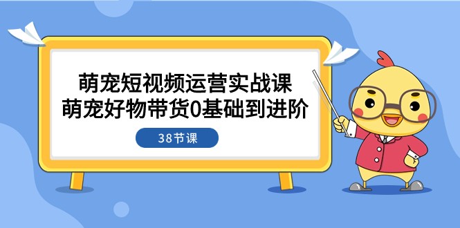 fy1945期-萌宠·短视频运营实战课：萌宠好物带货0基础到进阶（38节课）(“萌宠短视频运营实战课从0基础到精通的全方位指导”)