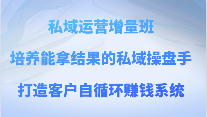 fy1980期-私域运营增量班 培养能拿结果的私域操盘手，打造客户自循环赚钱系统(深入理解私域运营打造客户自循环赚钱系统)