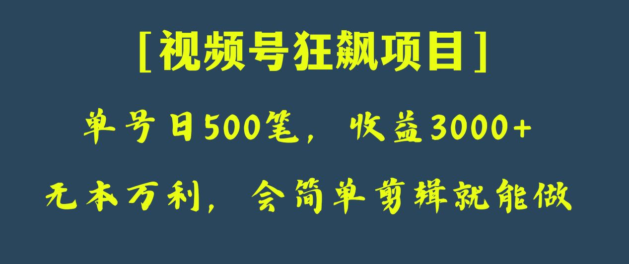 fy1987期-日收款500笔，纯利润3000+，视频号狂飙项目！(视频号狂飙项目手把手教你制作表情包，实现自动收益)