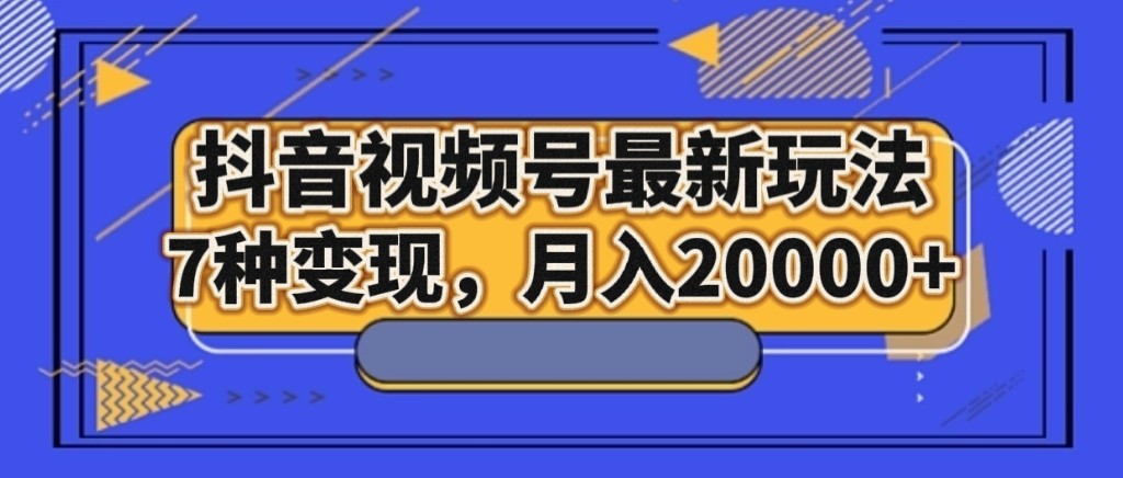 fy2001期-抖音视频号最新玩法，7种变现，月入20000+(探索抖音视频号新玩法伤感治愈账号的运营与变现策略)