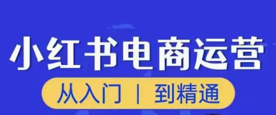 mp1086期-顽石小红书电商高阶运营课程，从入门到精通，玩法流程持续更新(顽石小红书电商高阶运营课程打造全面技能，实现精通之路)