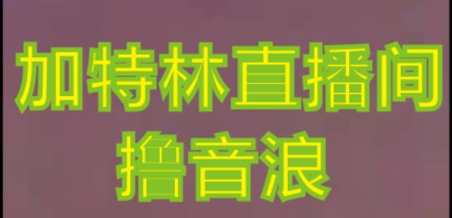 mp1209期-抖音加特林直播间搭建技术，抖音0粉开播，暴力撸音浪，2023新口子，每天800+【素材+详细教程】(2023最新抖音撸音浪技术，小白也能轻松赚钱！)