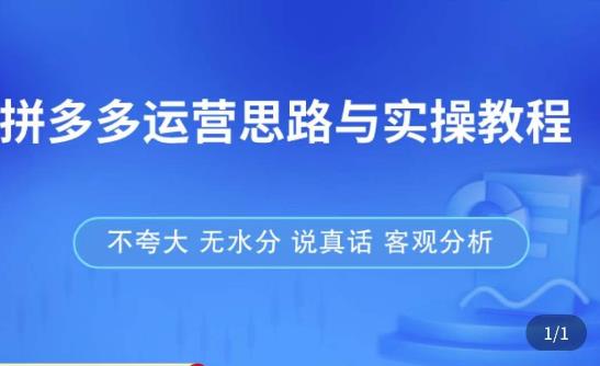 mp1288期-拼多多店铺运营思路与实操教程，快速学会拼多多开店和运营，少踩坑，多盈利(拼多多店铺运营教程快速上手，少走弯路，多赚钱)