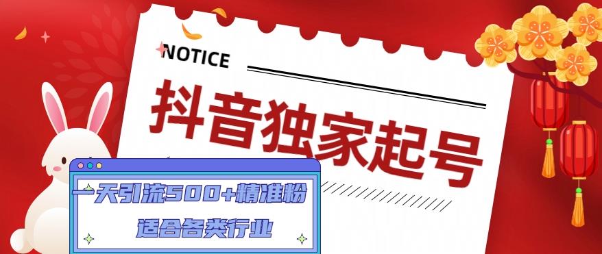 mp1309期-抖音独家起号，一天引流500+精准粉，适合各类行业（9节视频课）(全面掌握抖音运营技巧，打造高权重账号)