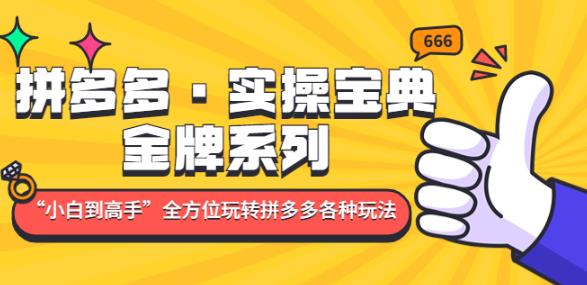 mp1358期-拼多多·实操宝典：金牌系列“小白到高手”带你全方位玩转拼多多各种玩法(拼多多实操宝典从小白到高手的全方位运营指南)