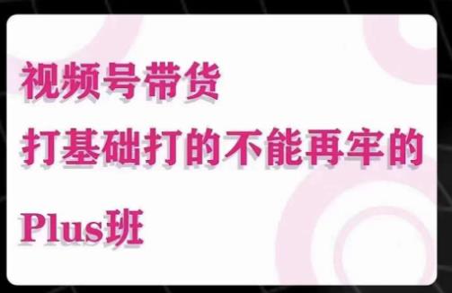 mp1410期-大播汇·视频号带货Puls班，视频号底层逻辑，起号自然流鱼塘等玩法(深度解析视频号带货Puls班底层逻辑与多元起号策略)