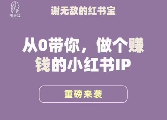 mp1508期-谢无敌·小红书运营大宝典，从0带你做个赚钱的小红书IP(“深度解析小红书运营从零基础到赚钱IP的转变之路”)