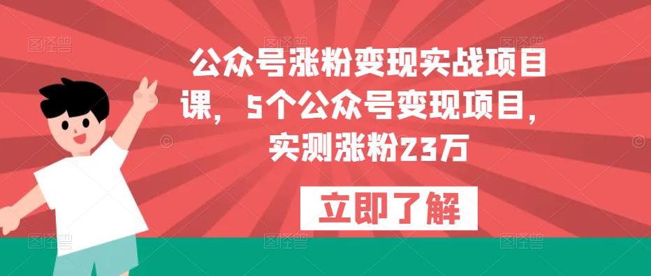 mp1628期-公众号涨粉变现实战项目课，5个公众号变现项目，实测涨粉23万(mp1628期公众号涨粉变现实战项目课5大变现项目助您轻松涨粉23万)