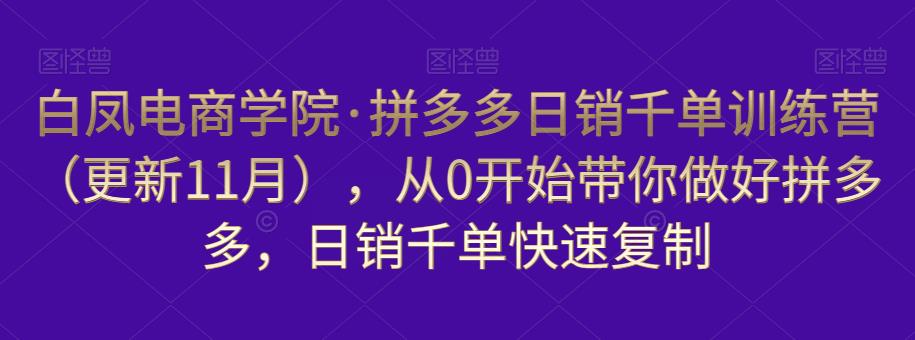 mp1640期-白凤电商学院·拼多多日销千单训练营，从0开始带你做好拼多多，日销千单快速复制（更新知2023年3月）(白凤电商学院拼多多日销千单训练营系统学习拼多多运营策略，实现日销千单目标。)