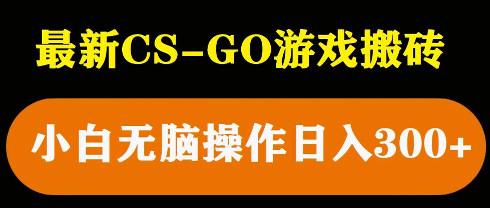 mp2000期-最新csgo游戏搬砖游戏，无需挂机小白无脑也能日入300+(无需专业技能，小白也能轻松日入300元的CSGO游戏搬砖项目详解)