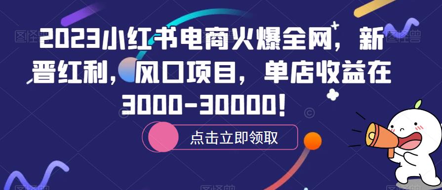 mp2101期-2023小红书电商火爆全网，新晋红利，风口项目，单店收益在3000-30000！(探索小红书电商新晋红利与风口项目解析)