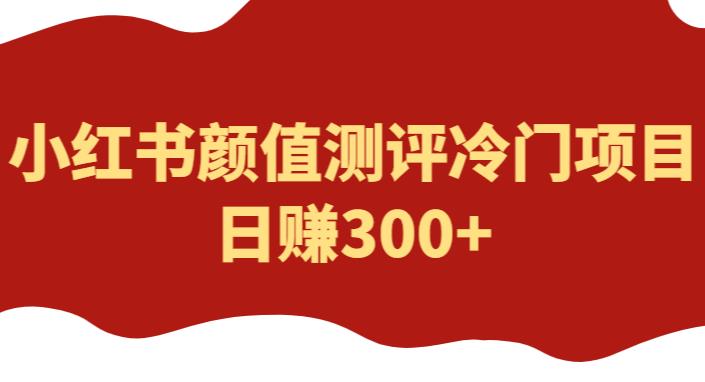 mp2133期-外面1980的项目，小红书颜值测评冷门项目，日赚300+【揭秘】(揭秘小红书颜值测评冷门项目，日赚300+的实操指南)