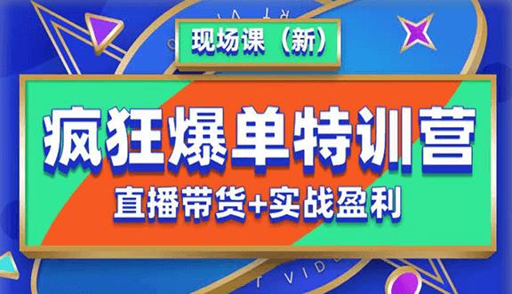 mp2440期-抖音短视频疯狂爆单特训营现场课（新）直播带货+实战案例(抖音短视频疯狂爆单特训营全方位提升直播带货技能)