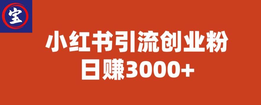 mp2669期-宝哥小红书引流创业粉，日赚3000+【揭秘】(【揭秘】宝哥如何利用小红书引流创业粉，实现日赚3000+)