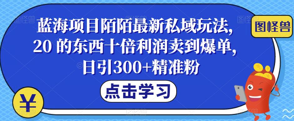 mp2687期-蓝海项目陌陌最新私域玩法，20 的东西十倍利润卖到爆单，日引300+精准粉【揭秘】(《蓝海项目陌陌最新私域玩法》——轻松实现高利润的社交电商新模式)