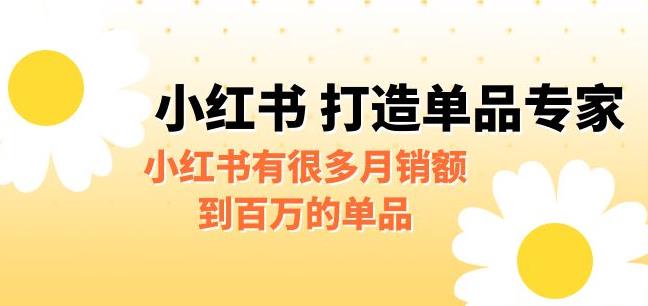 mp2760期-某公众号付费文章《小红书打造单品专家》小红书有很多月销额到百万的单品(小红书的百万单品策略如何快速切入并保持高利润)