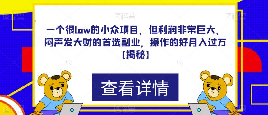 mp2787期-一个很low的小众项目，但利润非常巨大，闷声发大财的首选副业，操作的好月入过万【揭秘】(揭秘一个低门槛高收益的小众项目，如何轻松实现月入过万？)