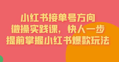 mp2838期-接单号方向·小红书微操实践课，快人一步，提前掌握小红书爆款玩法(小红书微操实践课全面解析爆款玩法，助你成为小红书达人)