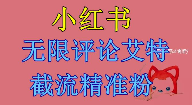 mp2845期-小红书无限评论艾特截流精准粉（软件+教程）(小红书无限评论艾特截流精准粉的实用指南)