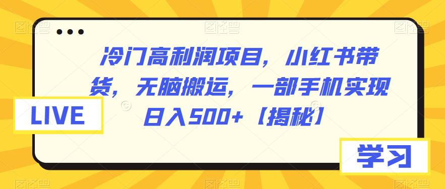 mp2899期-冷门高利润项目，小红书带货，无脑搬运，一部手机实现日入500+【揭秘】(揭秘小红书上的冷门高利润项目无脑搬运也能日入500+)