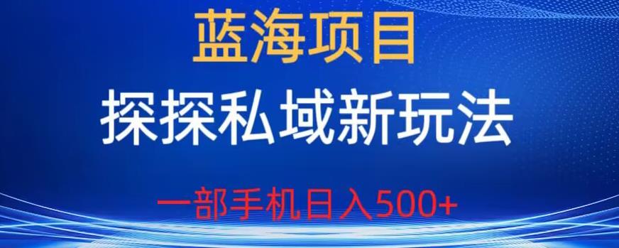 mp2921期-蓝海项目，探探私域新玩法，一部手机日入500+很轻松【揭秘】(揭秘探探私域新玩法轻松实现日入500+)