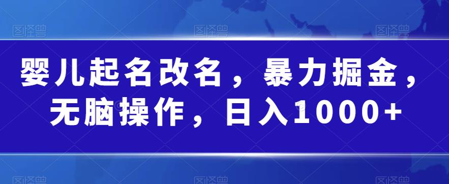 mp2954期-婴儿起名改名，暴力掘金，无脑操作，日入1000+【揭秘】(深度解析“婴儿起名改名”项目的操作流程与收益情况)