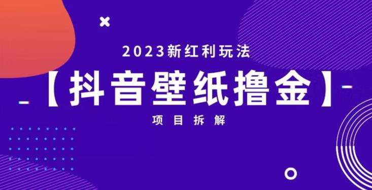 mp2996期-抖音壁纸小程序创作者撸金项目，2023新红利玩法【项目拆解】(探索抖音壁纸小程序创作者撸金项目，开启2023年新红利之旅)