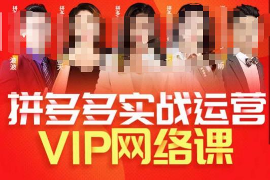 mp3170期-推易拼多多VIP全套直播课程，拼多多店铺实操玩法+实战玩法选款内功+直通车高阶等(掌握拼多多运营全攻略，提升店铺业绩)