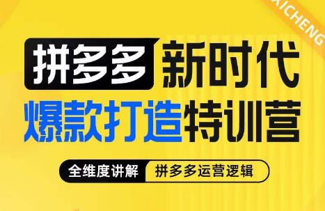 mp3172期-玺承·拼多多新时代爆款打造特训营，全维度讲解拼多多运营逻辑(深度解析拼多多运营策略，助力商家实现利润提升)