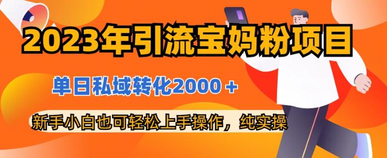 mp3229期-2023年引流宝妈粉项目，单日私域转化2000＋，新手小白也可轻松上手操作，纯实操(2023年引流宝妈粉项目实操教程从制作到变现一站式指导)