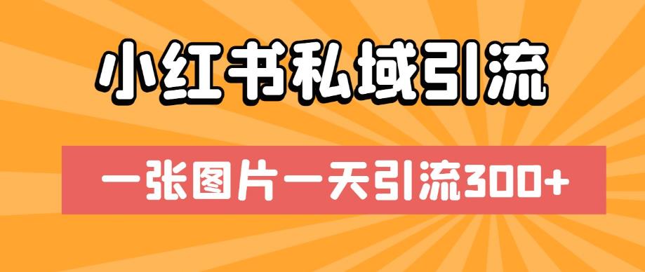 mp3238期-小红书私域引流，一张图片一天引流300+【揭秘】(揭秘小红书私域引流一张图片一天引流300+)