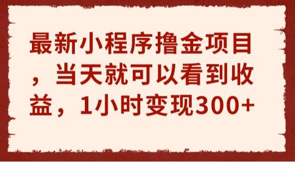 mp3246期-最新小程序撸金项目，当天就可以看到收益，1小时变现300+【揭秘】(揭秘最新小程序撸金项目1小时变现300+)