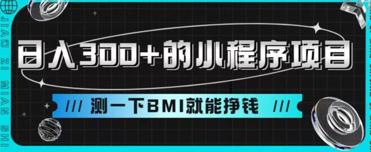 mp3337期-日入300+的小程序项目，测一下BMI就能挣钱【揭秘】(揭秘日入300+的小程序项目简单操作，躺赚收益)